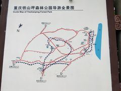 -铁山坪森林公园