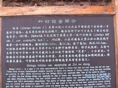 -牛郎织女景区