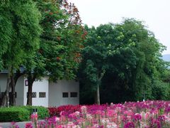 -厦门园林博览苑