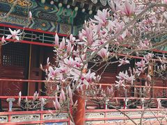 -潭柘寺景区