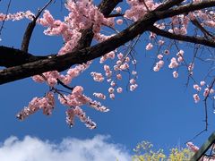 -吉林大学(南岭校区)