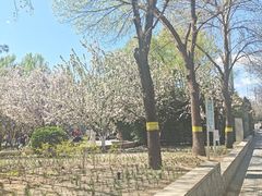 -元大都城垣遗址公园