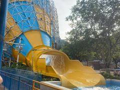 -重庆海昌加勒比海水世界