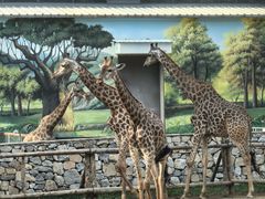 -北京野生动物园