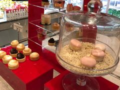 -新发展亚太JW万豪酒店·福苑咖啡厅