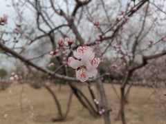 -绿堤公园