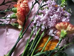-双季花艺园艺市场(浦东店)