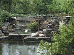 -东湖落雁景区
