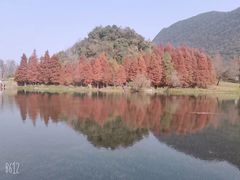 -贵阳市花溪国家城市湿地公园