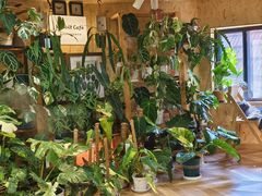 -Rabbit Cafe私房西餐甜点咖啡(栖霞路店)