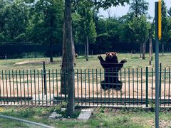 -秦皇岛野生动物园