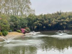 -河南省黄河迎宾馆