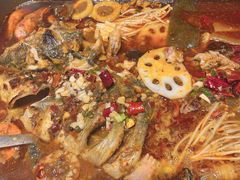 麻辣诱惑清江鱼-鱼酷活鱼烤鱼(恒隆广场店)