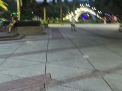 -金砂公园