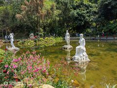 -深圳市中科院仙湖植物园