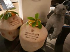 -三亚绿发山海天JW万豪酒店