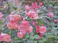 -UNIUNI(凯瑟琳广场店)