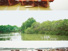 -大湾区中央湿地公园-十九涌