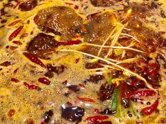 -四小区火锅·巷子里的重庆火锅(花照壁店)