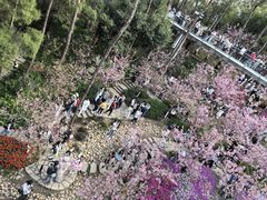 -狐尾山公园