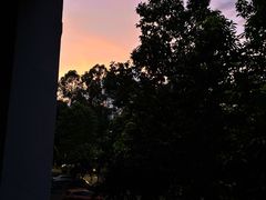-顺德职业技术大学