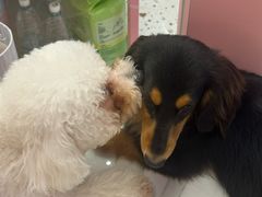 -凤凰汇购物中心