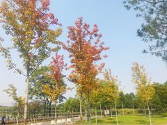 -石家庄市植物园