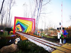 -合肥滨湖国家森林公园