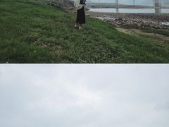 -菜园坝水果市场