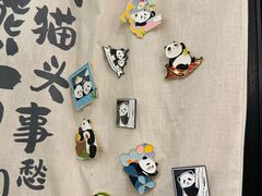 -轩客会(熊猫书店)