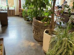 -慢丽江·云南野生菌土鸡锅(付家庄店)
