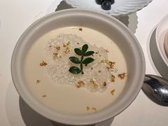 -觀芷隐轩
