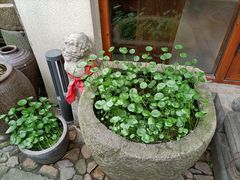 -临江宴餐厅·桐庐菜(富春江店)