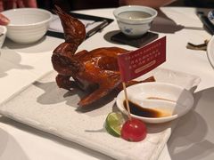 非遗红烧乳鸽-侨美食家·41年地道粤菜(珠江新城店)