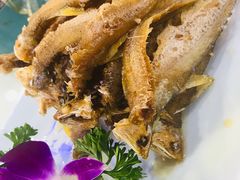 -小老板海鲜酒家(董家渡店)