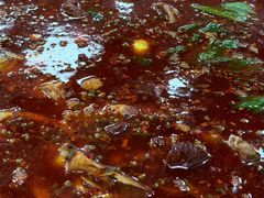 -刘胖娃鱼庄·特色鱼火锅(白鹤路店)