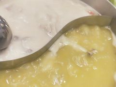 金湯花胶走地鸡锅-湯系·煲汤手艺人(东二环泰禾广场店)