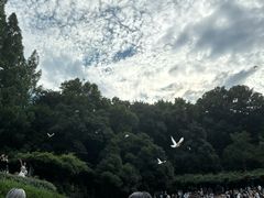 -音乐台