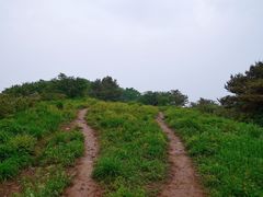 -妙峰山风景名胜区