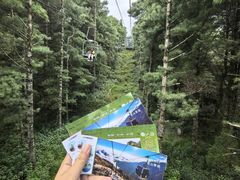 -苍山感通索道