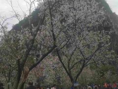 -南溪山景区