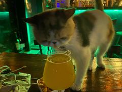 -后院儿·精酿·塔罗Happy Bar