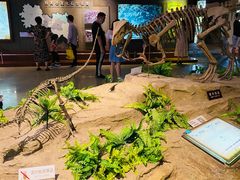 -自贡恐龙博物馆