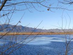-野鸭湖国家湿地公园