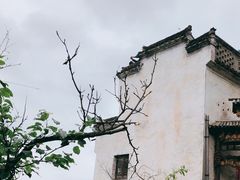 -篁岭景区