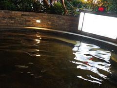 -碧水湾温泉
