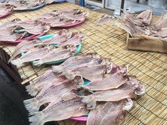 -西归浦每天偶来市场