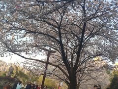 -堤角公园