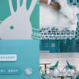 第一次见到这么大的🐰安哥拉兔/完全抱不动