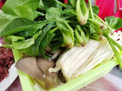 小份蔬菜拼盘-富源杨记牛肉馆
